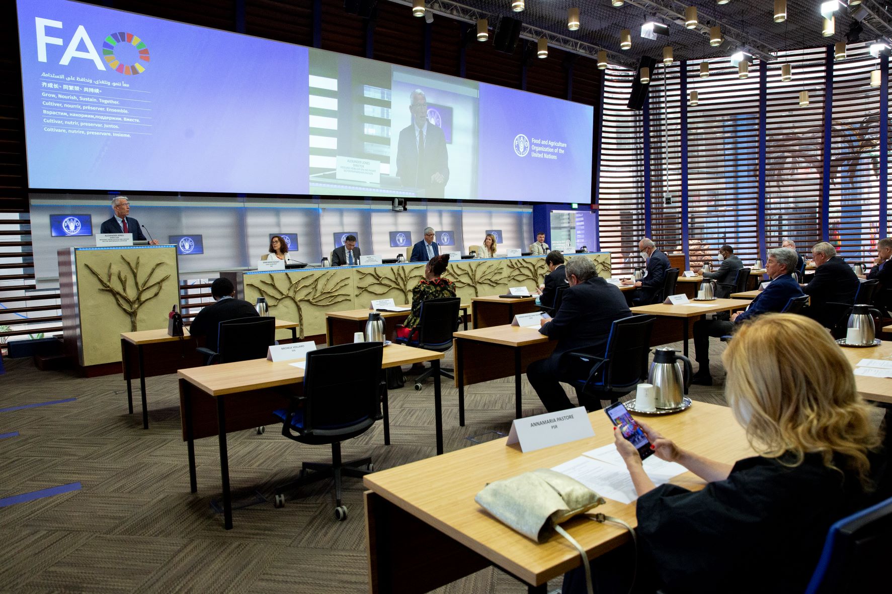 2022 06 09 CEMA and FAO Figure 2