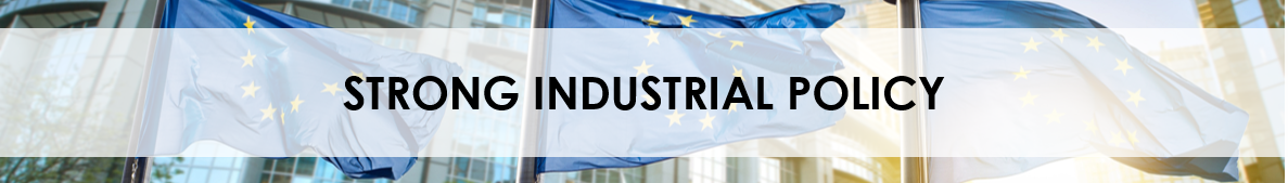 2019 Strong industrial policy banner